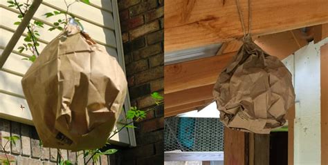 fake wasp nest bag|deter wasps from building nests.